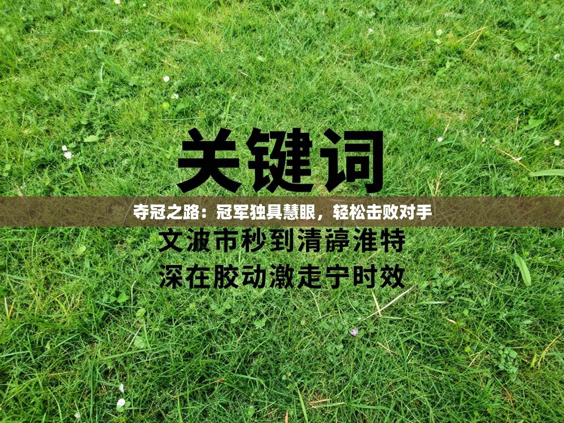 夺冠之路：冠军独具慧眼，轻松击败对手  第2张